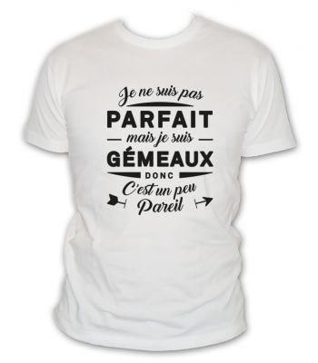 Je ne suis pas parfait mais je suis gémeaux