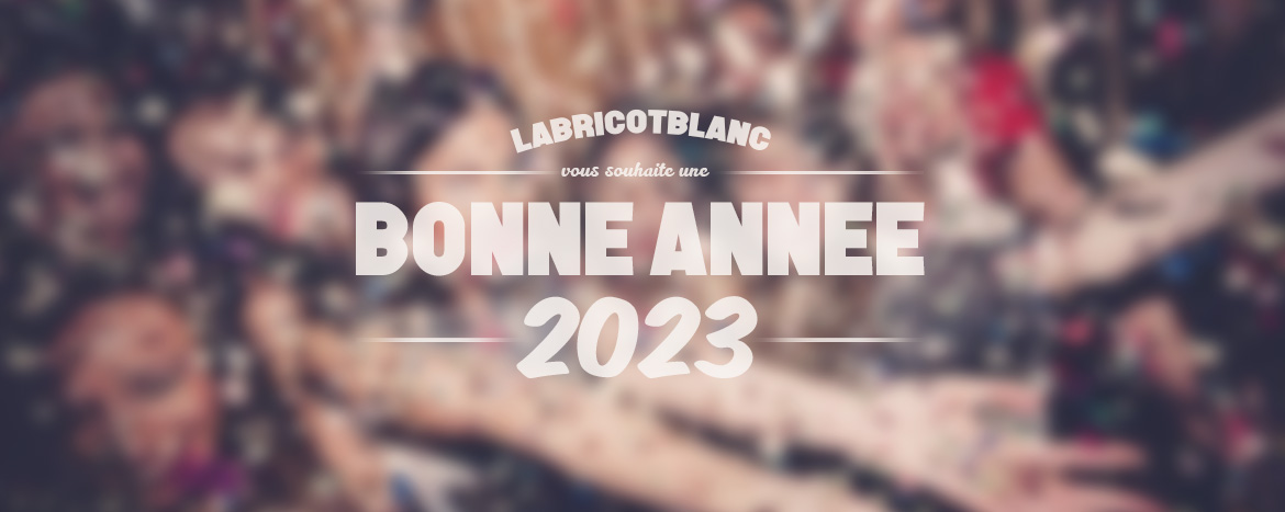 Bonne année 2023 pleine de sourire