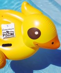 tee shirt canard j peux pas j ai piscine